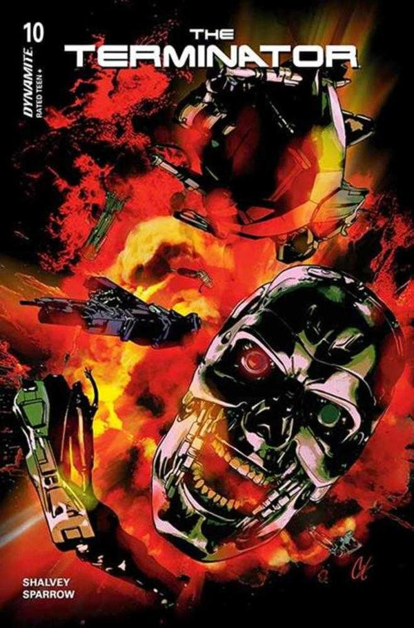 Terminator #10 (Cover C)