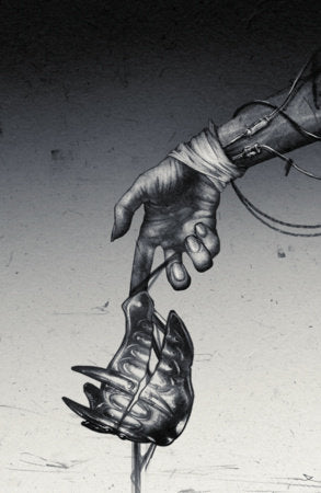Fall of the House of Slaughter #2 (Cover H Sam Wolfe Connelly Virgin Variant)