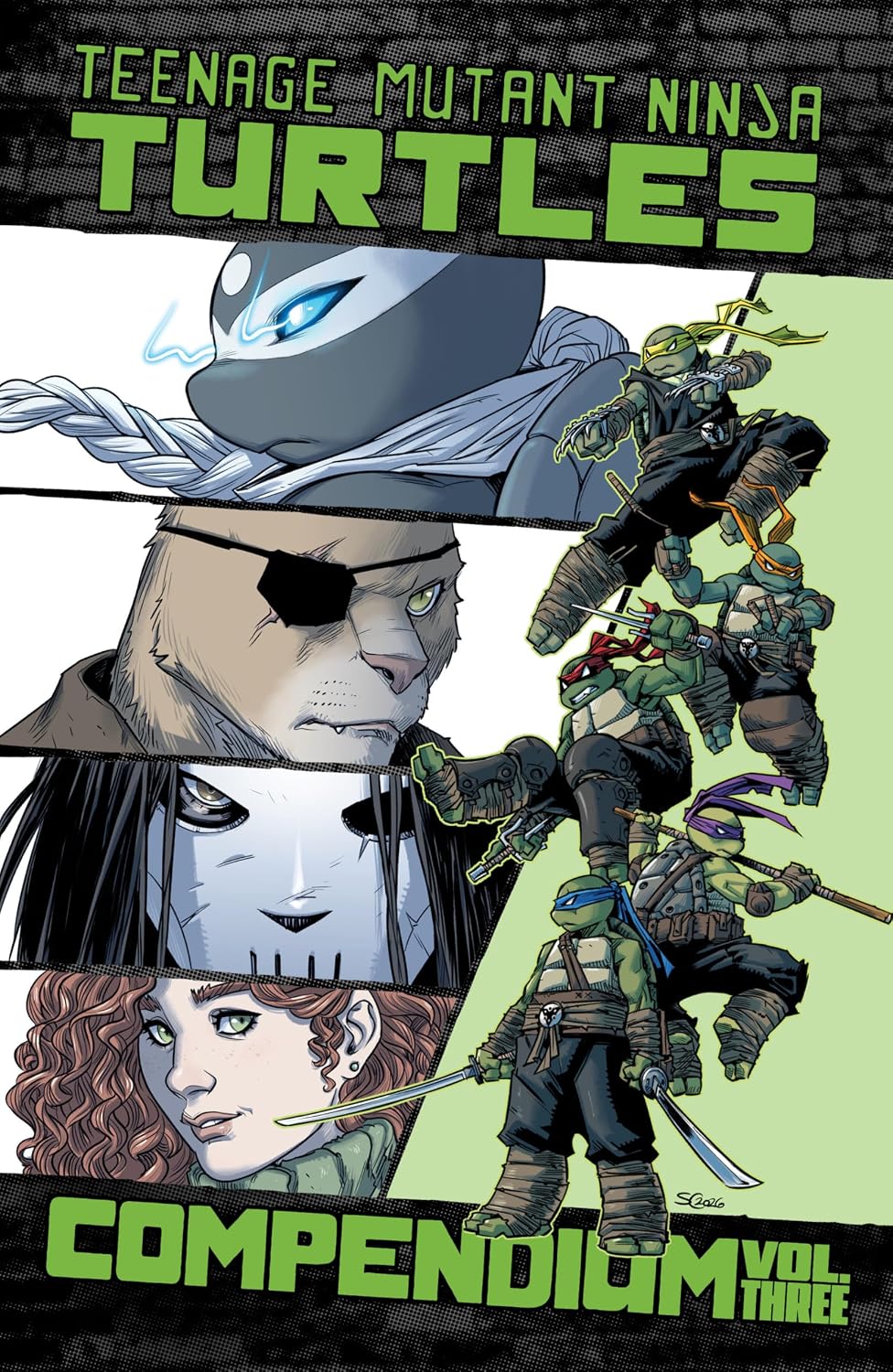 Teenage Mutant Ninja Turtles: Ongoing Compendium, Vol. 3