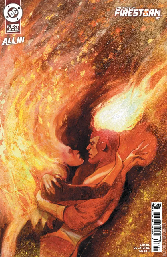 Fury of Firestorm #7 Cover C Martin Simmonds Variant
