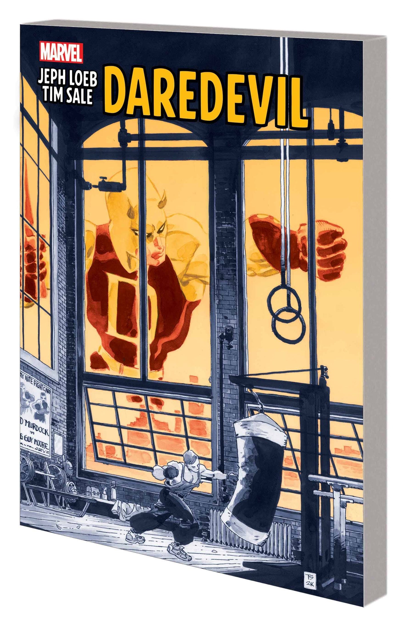 Jeph Loeb & Tim Sale: Daredevil