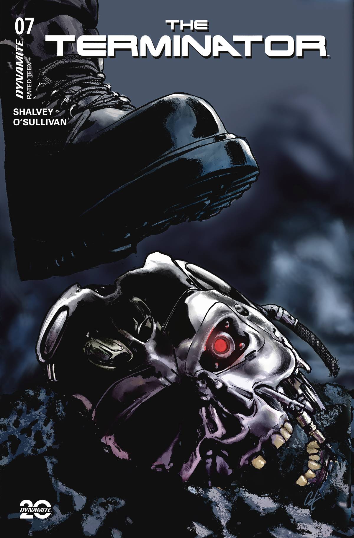 Terminator #7 (Cover C)