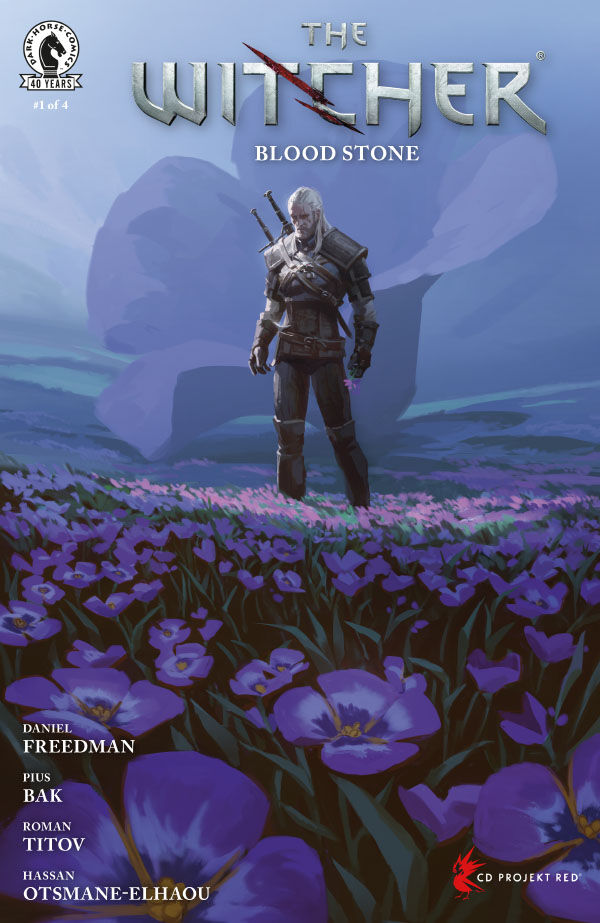 The Witcher: Blood Stone #1 (Cover C Axel Sauerwald Variant)