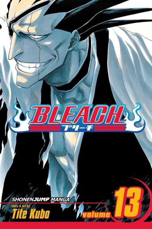 Bleach - vol. 13