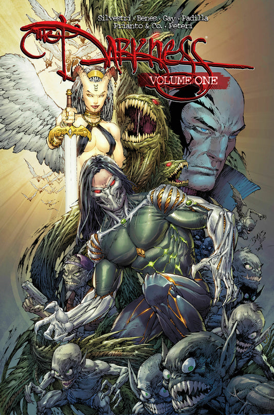 The Darkness (2025), Vol. 1 TP (DM Cover)