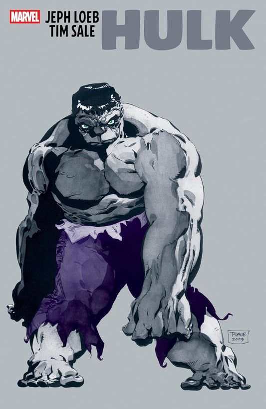 JEPH LOEB AND TIM SALE: HULK