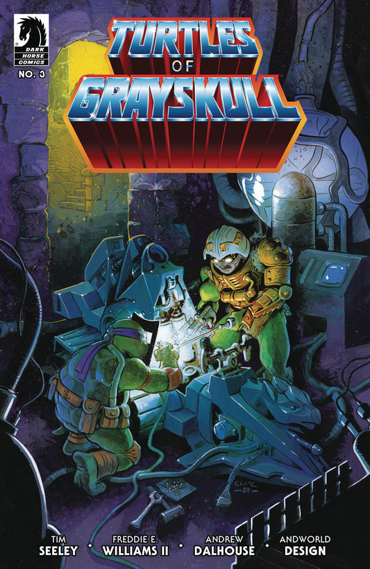 Masters of the Universe/TMNT #3 (Cover B)