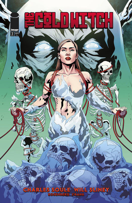 Cold Witch: A Tale of the Shrouded College #2