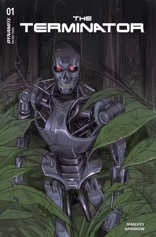 Terminator #1 (Cover C)