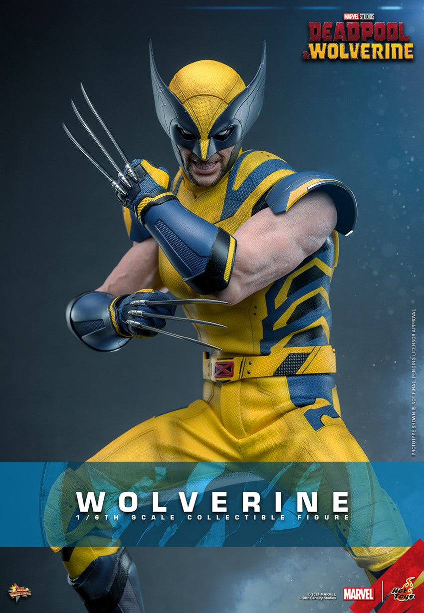 Hot Toys - Deadpool & Wolverine - 1:6 Scale Wolverine (MMS753)